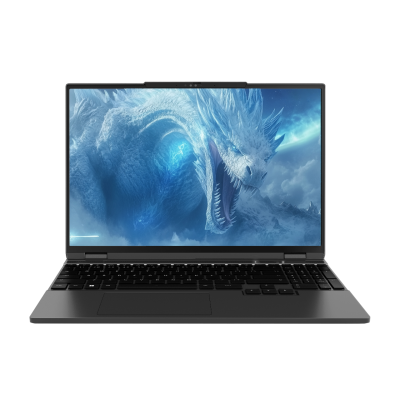 Ноутбук Maibenben X15B-R78746 (X15B-R78746GQSLBRE0)