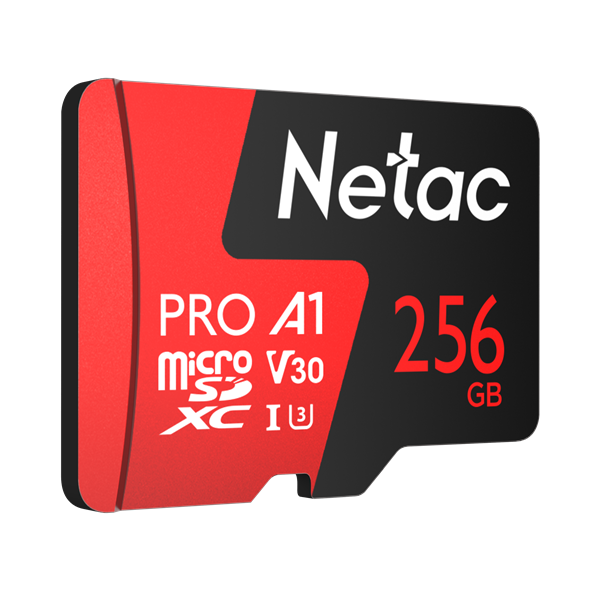 Фото Netac P500 Extreme PRO 256GB MicroSDXC V30/A1/C10 up to 100MB/s, retail pack with SD Adapter