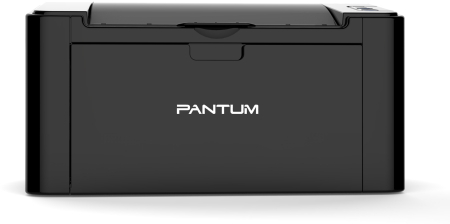 Pantum P2207