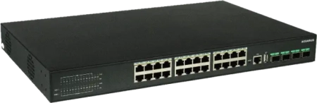 Фото Aquarius AQ-N2000-24P4X