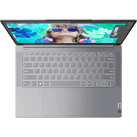 Фото Lenovo 21FA0051US