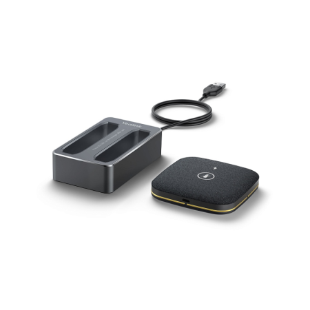 Фото Yealink CPW65-DECT-Duo