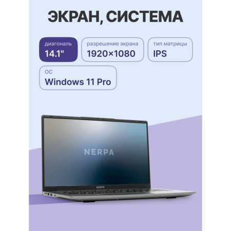 Фото Nerpa Caspica  A342 (A342-14BB082602G)