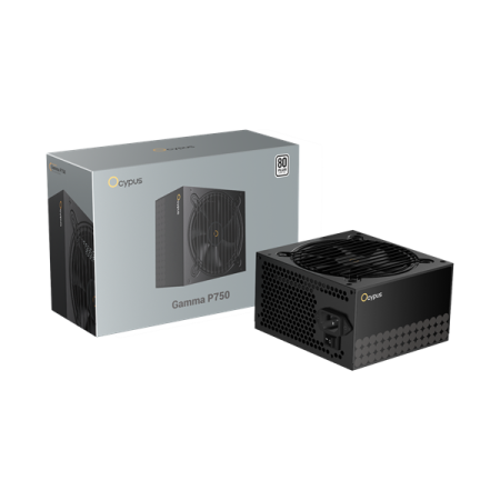 Фото Ocypus Gamma P750, 750W, APFC, 80+, 120mm Fan (P750-W)