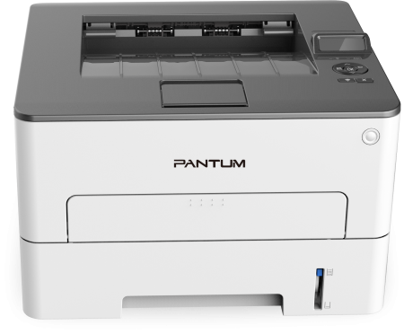 Pantum P3010DW