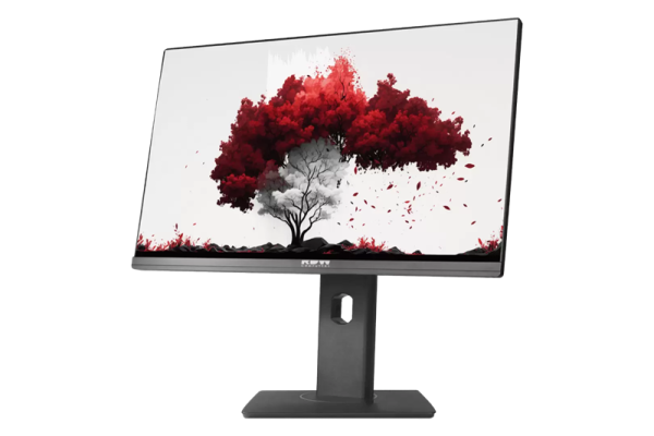 Фото RDW 2402K (F00B3) 23,8" Monitor 1920x1080, IPS, 16:9, 250cd/m2, 1000:1, 5ms, 178°/178°, 75Гц, HDMI, DP, -5° /~23°, регулировка по высоте 130мм, веб-камера, внешний БП, МПТ