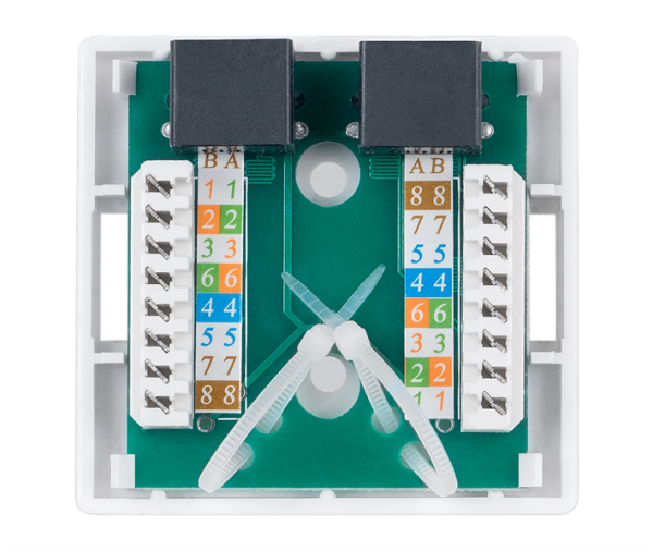 Фото Cabeus WS-8P8C-Cat.6-2 Розетка компьютерная RJ-45(8P8C), категория 6, двойная, внешняя, Dual IDC
