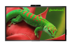 Интерактивный программно-аппаратный комплекс Geckotouch Interactive 86R (4к, PCAP, Android 11.0, 8Мп, LAN, Wi-Fi, BT, USB Type A/B/C, HDMI, DP, VGA, RS232) в комплекте с настенным креплением