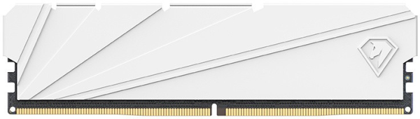 Netac Shadow S 16GB DDR4-3200 (PC4-25600) C16 16-20-20-40 1.35V XMP Memory module (DIMM) White