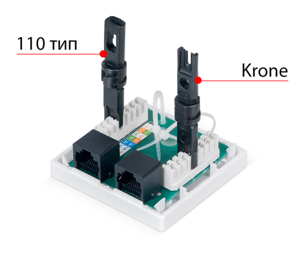 Фото Cabeus WS-8P8C-Cat.6-2 Розетка компьютерная RJ-45(8P8C), категория 6, двойная, внешняя, Dual IDC