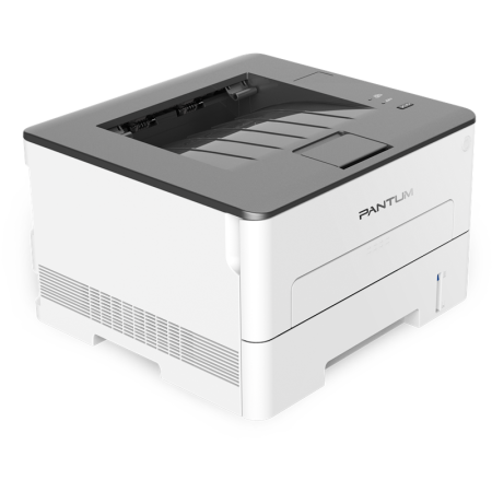 Фото Pantum P3010D