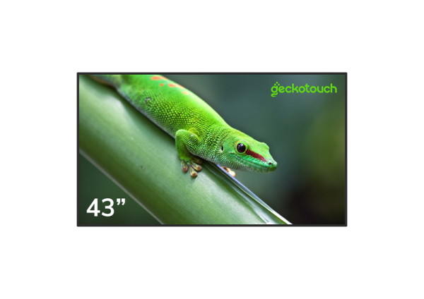 Профдисплей Geckotouch 43DH (с пультом Аэромышь G10s)